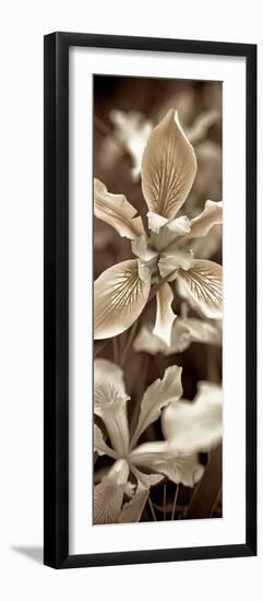 Florison #68-Alan Blaustein-Framed Photographic Print