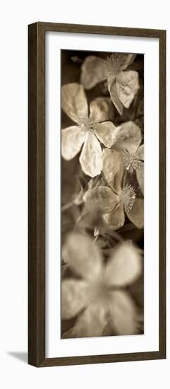 Florison 69-Alan Blaustein-Framed Photographic Print