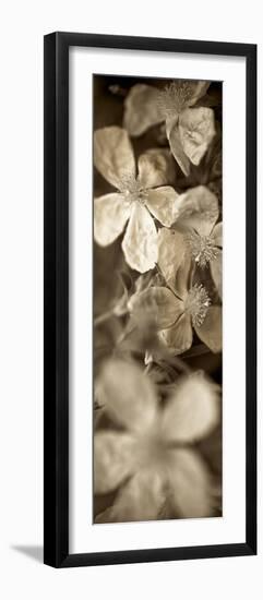 Florison 69-Alan Blaustein-Framed Photographic Print