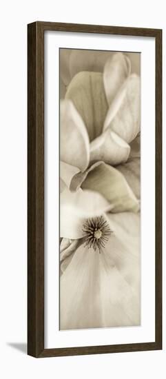 Florison 70-Alan Blaustein-Framed Photographic Print