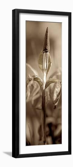 Florison #74-Alan Blaustein-Framed Photographic Print