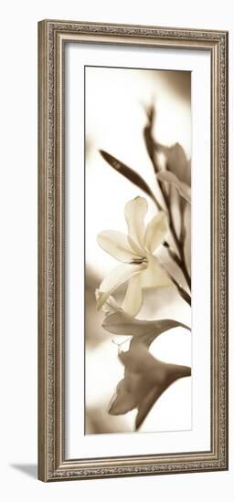 Florison #76-Alan Blaustein-Framed Photographic Print