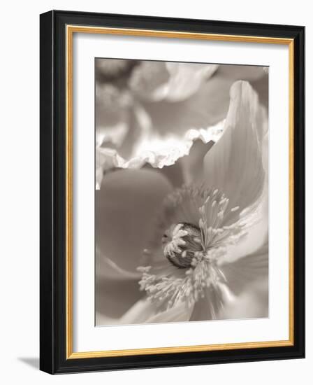 Florison #7-Alan Blaustein-Framed Photographic Print