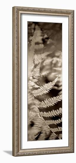 Florison 80-Alan Blaustein-Framed Photographic Print