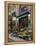 Florist in Ile St. Louis, Paris, France-Lisa S. Engelbrecht-Framed Premier Image Canvas