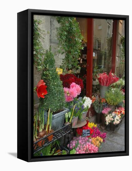 Florist in Ile St. Louis, Paris, France-Lisa S. Engelbrecht-Framed Premier Image Canvas