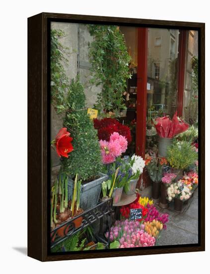 Florist in Ile St. Louis, Paris, France-Lisa S. Engelbrecht-Framed Premier Image Canvas