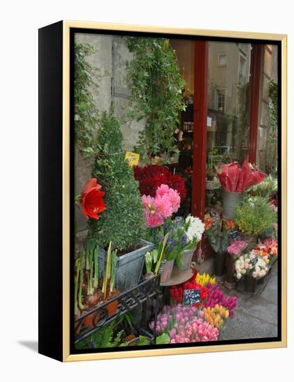 Florist in Ile St. Louis, Paris, France-Lisa S. Engelbrecht-Framed Premier Image Canvas