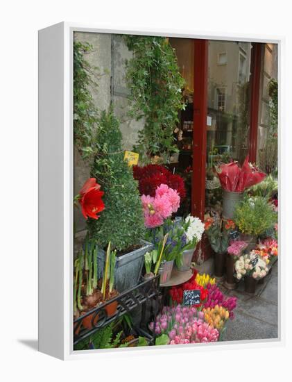 Florist in Ile St. Louis, Paris, France-Lisa S. Engelbrecht-Framed Premier Image Canvas