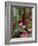 Florist in Ile St. Louis, Paris, France-Lisa S. Engelbrecht-Framed Photographic Print