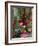 Florist in Ile St. Louis, Paris, France-Lisa S. Engelbrecht-Framed Photographic Print