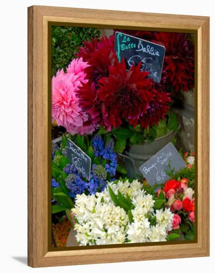 Florist in Ile St. Louis, Paris, France-Lisa S. Engelbrecht-Framed Premier Image Canvas