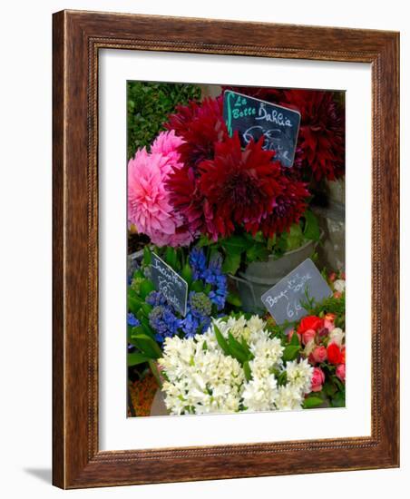 Florist in Ile St. Louis, Paris, France-Lisa S. Engelbrecht-Framed Photographic Print