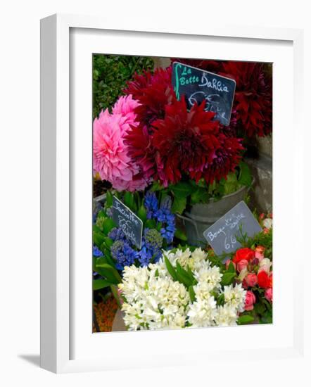 Florist in Ile St. Louis, Paris, France-Lisa S. Engelbrecht-Framed Photographic Print