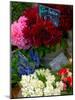 Florist in Ile St. Louis, Paris, France-Lisa S. Engelbrecht-Mounted Photographic Print