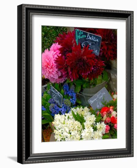 Florist in Ile St. Louis, Paris, France-Lisa S. Engelbrecht-Framed Photographic Print