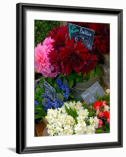 Florist in Ile St. Louis, Paris, France-Lisa S. Engelbrecht-Framed Photographic Print