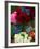 Florist in Ile St. Louis, Paris, France-Lisa S. Engelbrecht-Framed Photographic Print