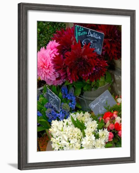 Florist in Ile St. Louis, Paris, France-Lisa S. Engelbrecht-Framed Photographic Print