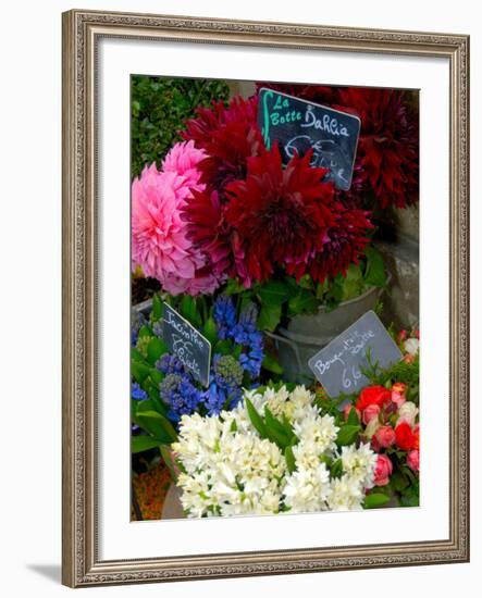 Florist in Ile St. Louis, Paris, France-Lisa S. Engelbrecht-Framed Photographic Print