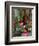 Florist in Ile St. Louis, Paris, France-Lisa S. Engelbrecht-Framed Photographic Print