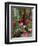 Florist in Ile St. Louis, Paris, France-Lisa S. Engelbrecht-Framed Photographic Print