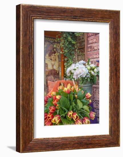 Florist shop, Cabourg, Normandy, France-Lisa S. Engelbrecht-Framed Photographic Print