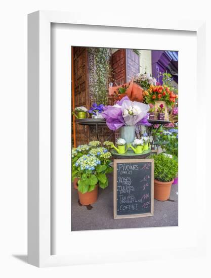 Florist shop, Cabourg, Normandy, France-Lisa S. Engelbrecht-Framed Photographic Print