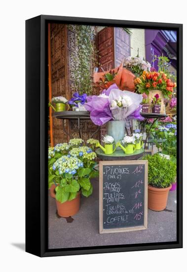 Florist shop, Cabourg, Normandy, France-Lisa S. Engelbrecht-Framed Premier Image Canvas