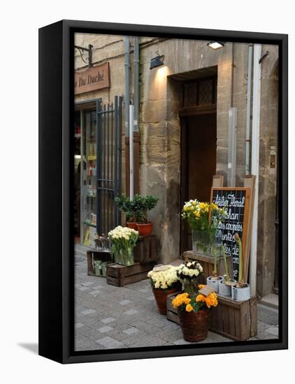 Florist Shop, Languedoc-Roussillon, France-Lisa S. Engelbrecht-Framed Premier Image Canvas