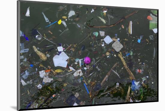 Flotsam in Seawater-Robert Brook-Mounted Photographic Print