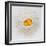 Flour and Eggs-Steve Gadomski-Framed Photographic Print