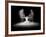 Flour Wings-Pauline Pentony Ba-Framed Photographic Print