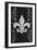 Flourish and Fleur de Lis - Black-Lantern Press-Framed Art Print