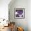 Flourish I-Katrien Soeffers-Framed Giclee Print displayed on a wall