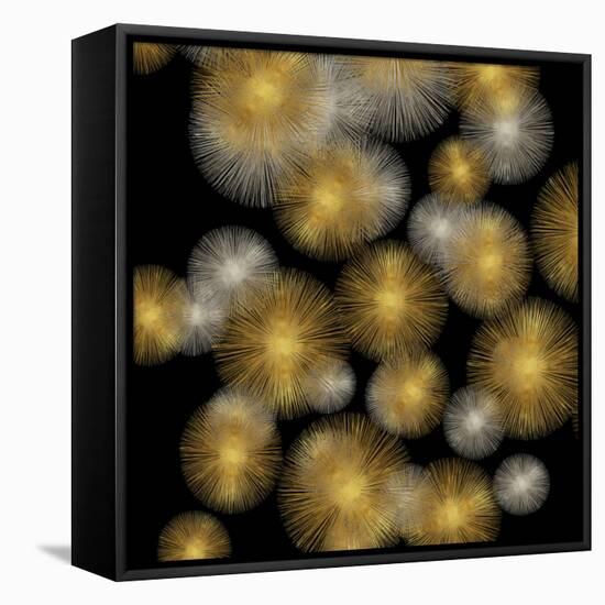 Flourish in Gold and Silver-Abby Young-Framed Stretched Canvas