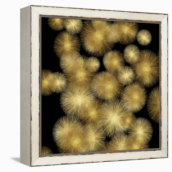 Flourish in Gold-Abby Young-Framed Stretched Canvas