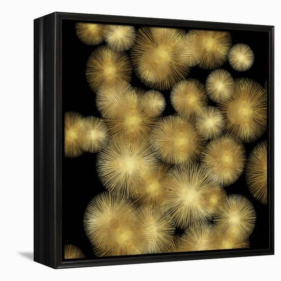 Flourish in Gold-Abby Young-Framed Stretched Canvas