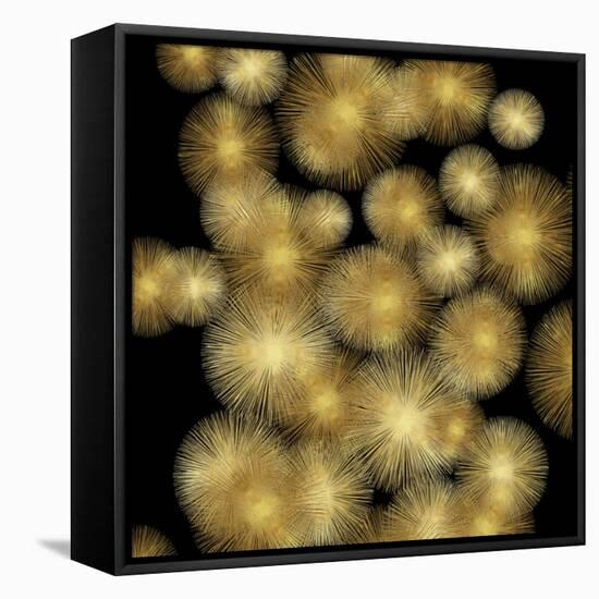 Flourish in Gold-Abby Young-Framed Stretched Canvas