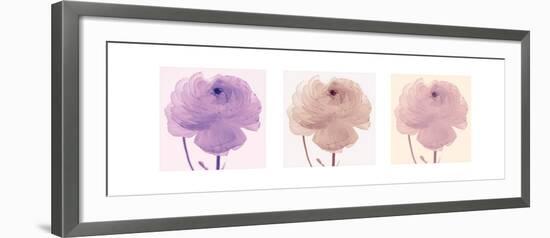 Flourish Triptych-Katja Marzahn-Framed Art Print