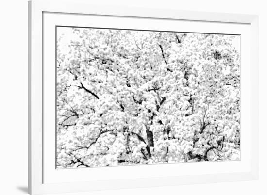 Flourished Peaks-Markus Lange-Framed Giclee Print