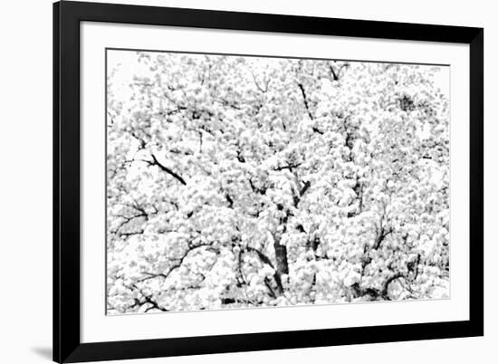 Flourished Peaks-Markus Lange-Framed Giclee Print