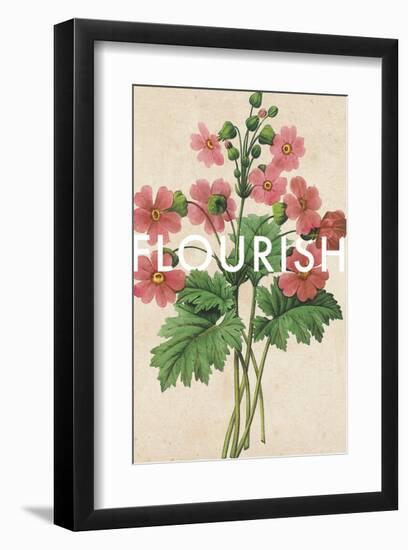 Flourishing Florals-Rufus Coltrane-Framed Giclee Print