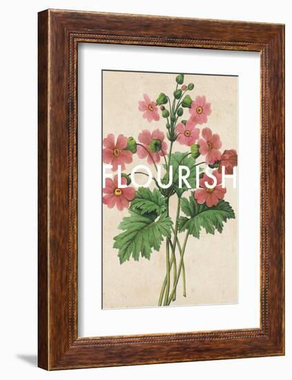 Flourishing Florals-Rufus Coltrane-Framed Giclee Print