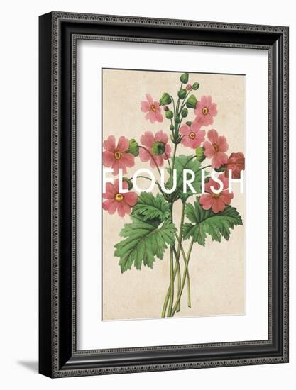 Flourishing Florals-Rufus Coltrane-Framed Giclee Print