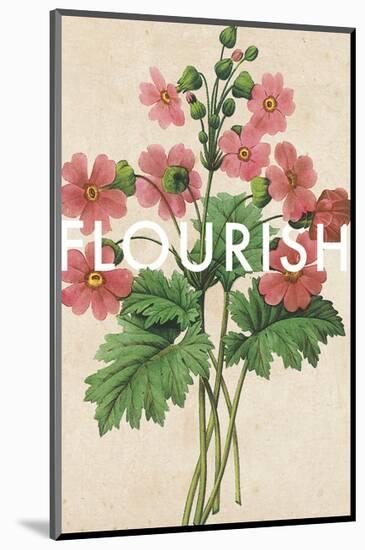 Flourishing Florals-Rufus Coltrane-Mounted Giclee Print