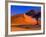 Flourishing Tree with Soussevlei Sand Dune, Namibia-Joe Restuccia III-Framed Photographic Print