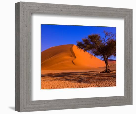 Flourishing Tree with Soussevlei Sand Dune, Namibia-Joe Restuccia III-Framed Photographic Print