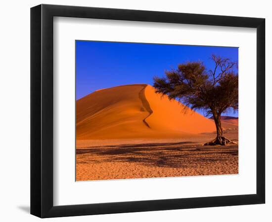 Flourishing Tree with Soussevlei Sand Dune, Namibia-Joe Restuccia III-Framed Photographic Print