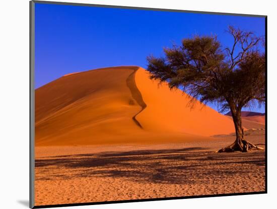 Flourishing Tree with Soussevlei Sand Dune, Namibia-Joe Restuccia III-Mounted Photographic Print